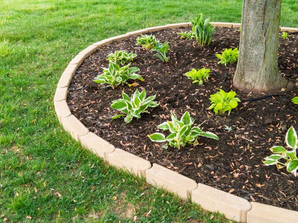 Stone Border Installation in Lexington